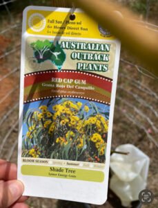 plant label for Australian Outback Plants Red Gum